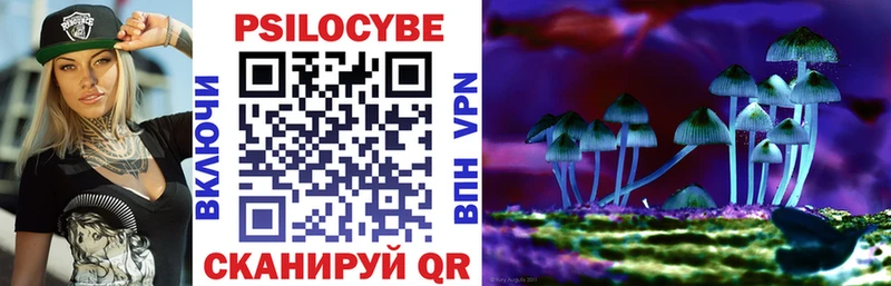 где найти наркотики  Тбилисская  Псилоцибиновые грибы прущие грибы 